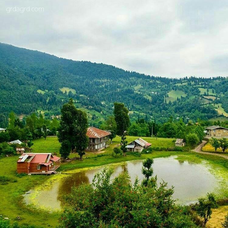 تصویر کوچک
